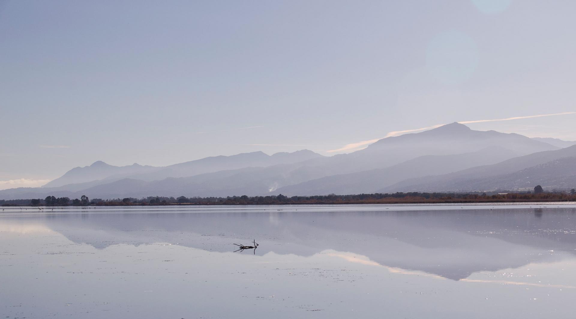 Etang de Biguglia-Corse