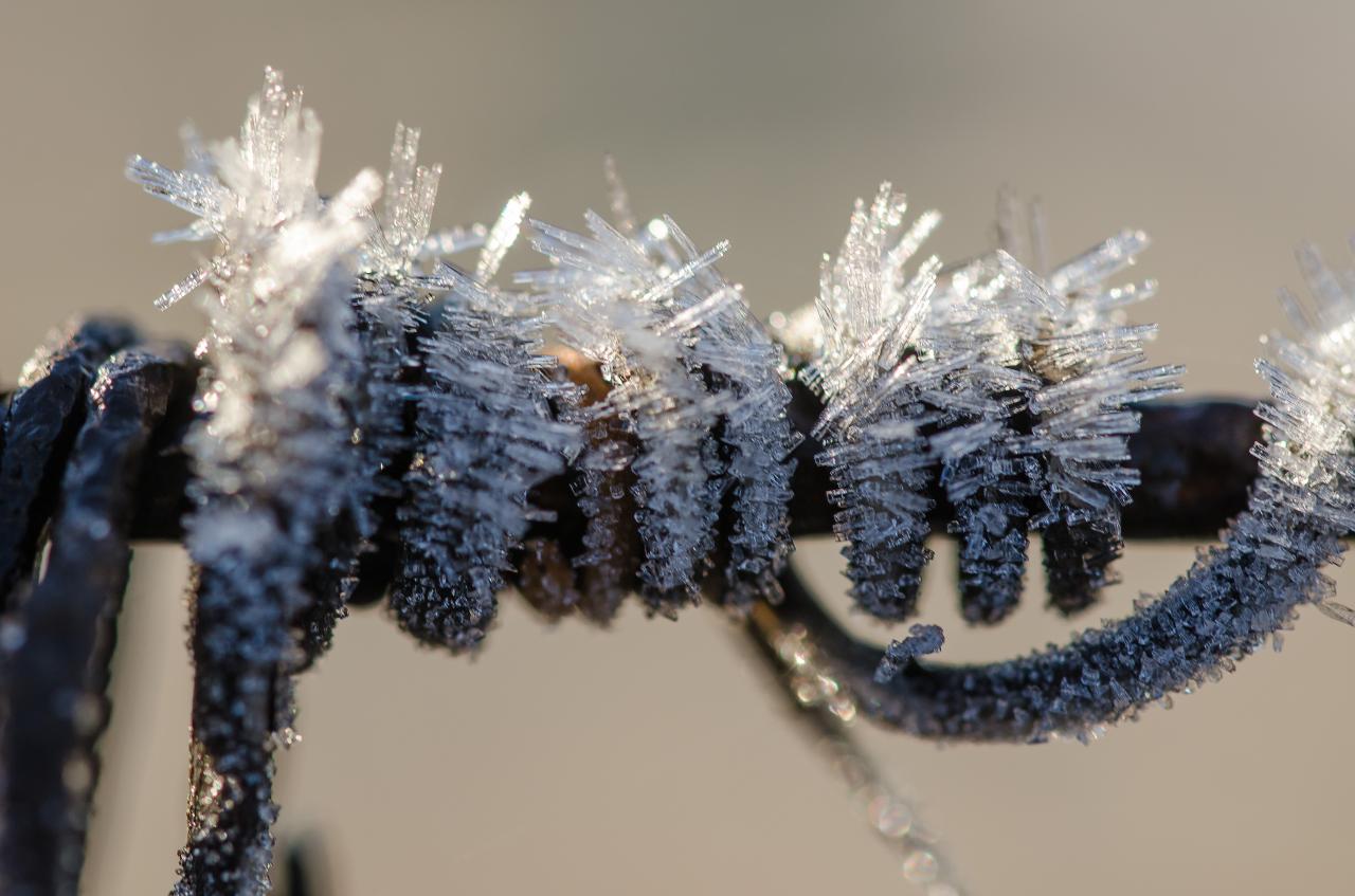 Givre