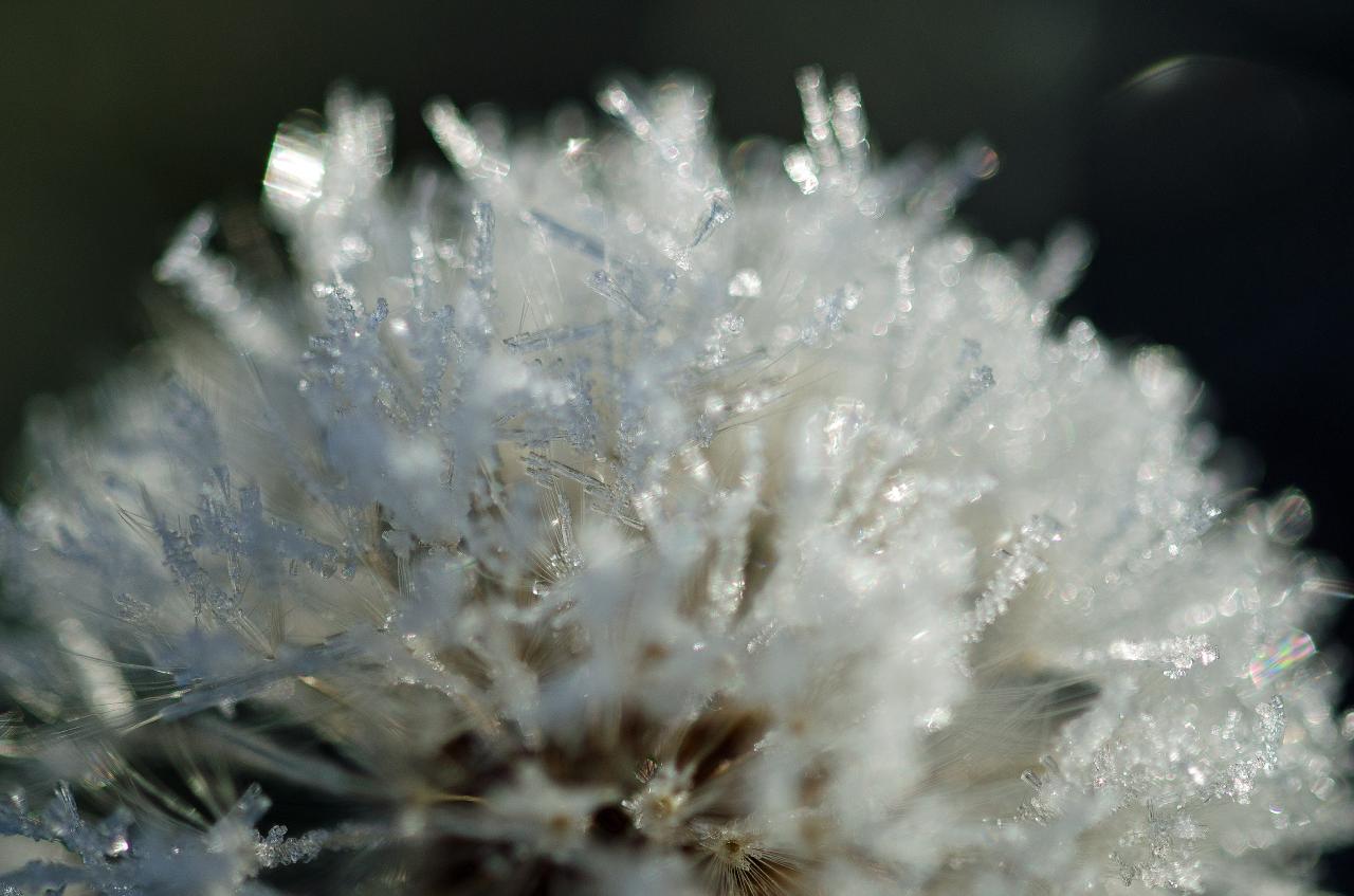 Givre