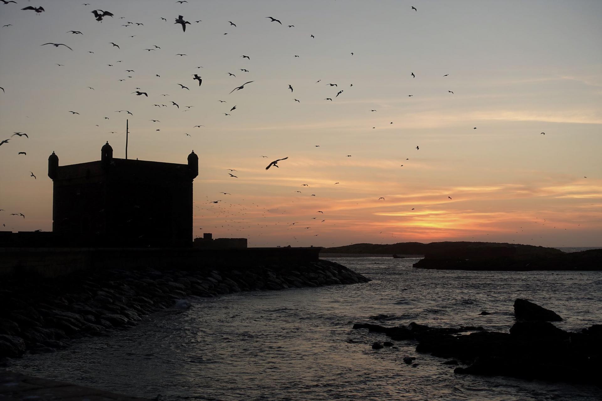 Essaouira