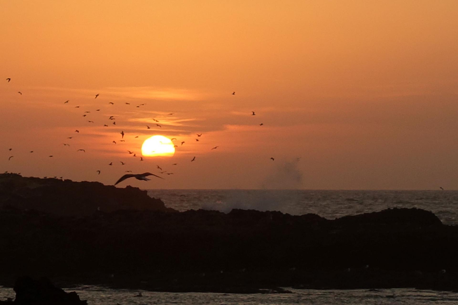 Essaouira