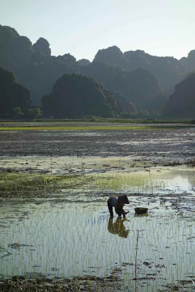 Vietnam-Tam Coc